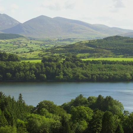 Villa Oaktree Manor Castlewellan Esterno foto