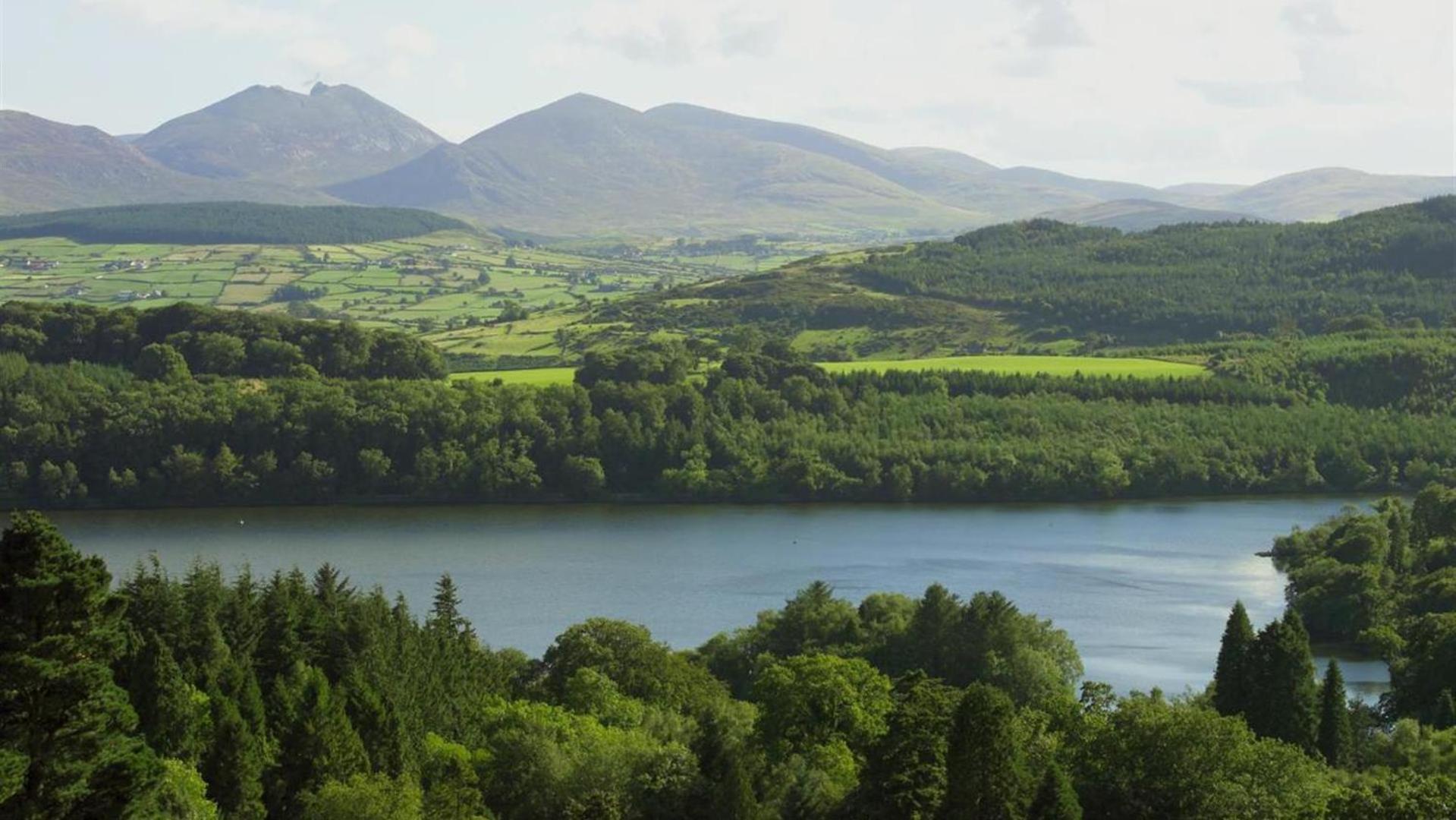 Villa Oaktree Manor Castlewellan Esterno foto