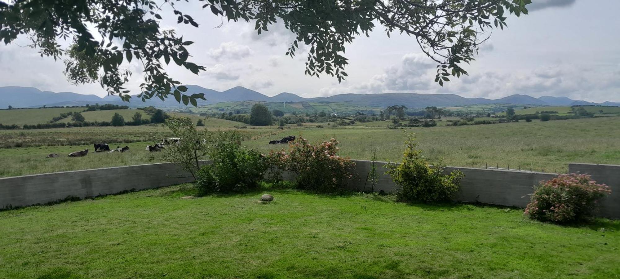 Villa Oaktree Manor Castlewellan Esterno foto