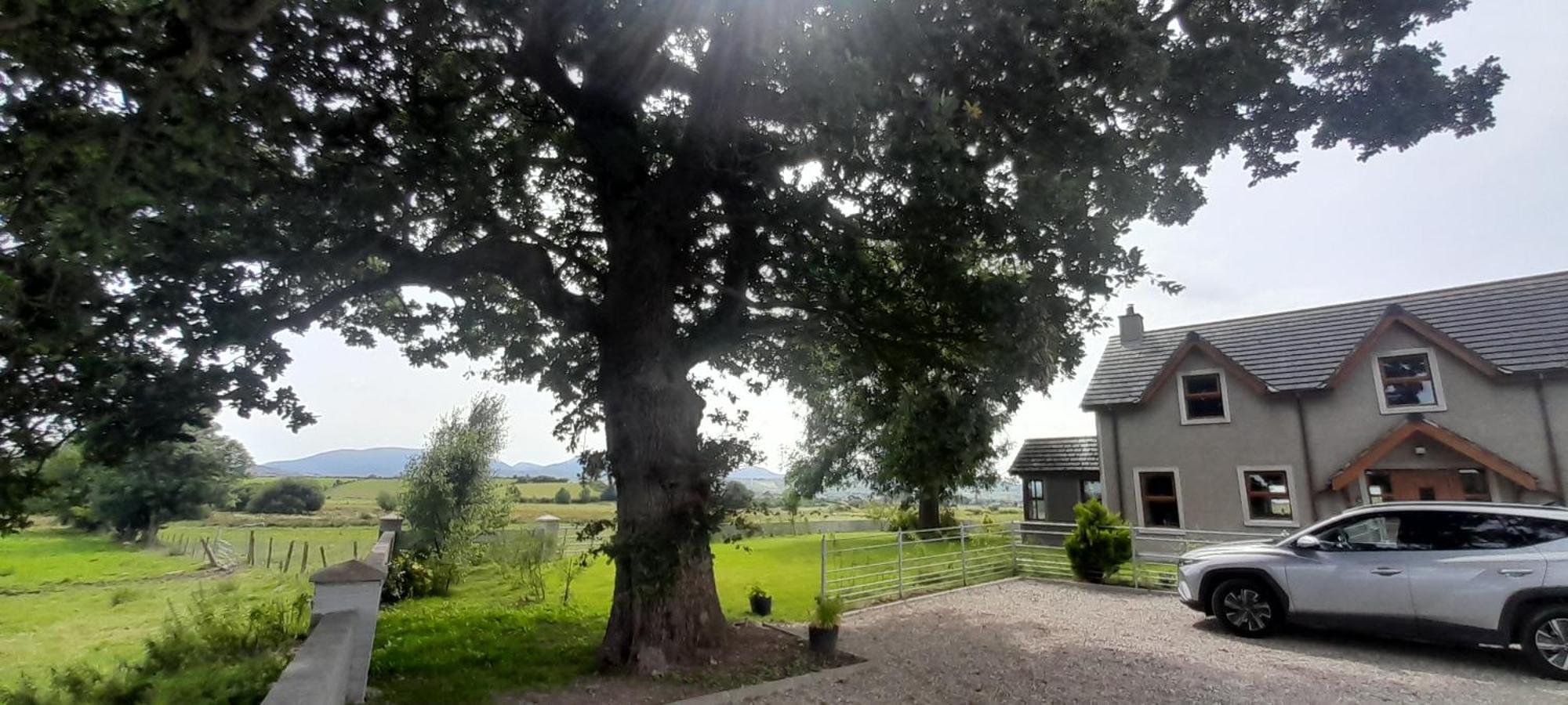 Villa Oaktree Manor Castlewellan Esterno foto